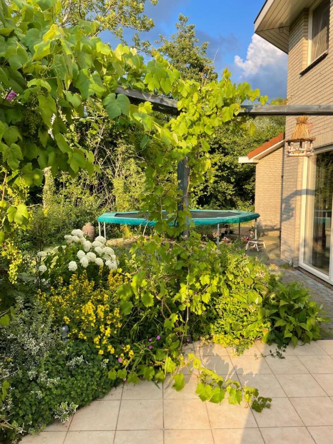 B&B Eibergen Met Prive Zwembad En Sauna Bagian luar foto